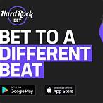 choose your bet